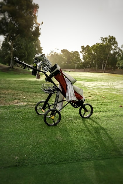 Golf Cart Delivery Made Easy